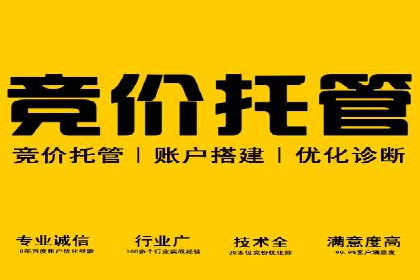 提升SEM投放转化率的实战案例分析